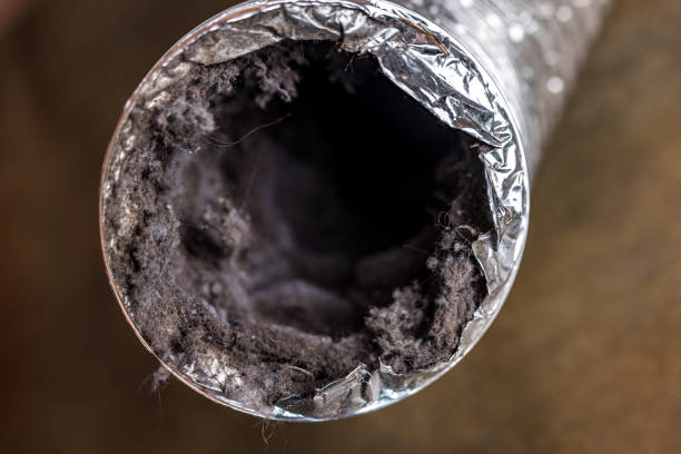 Best Residential Air Duct Cleaning  in Scanlon, MN